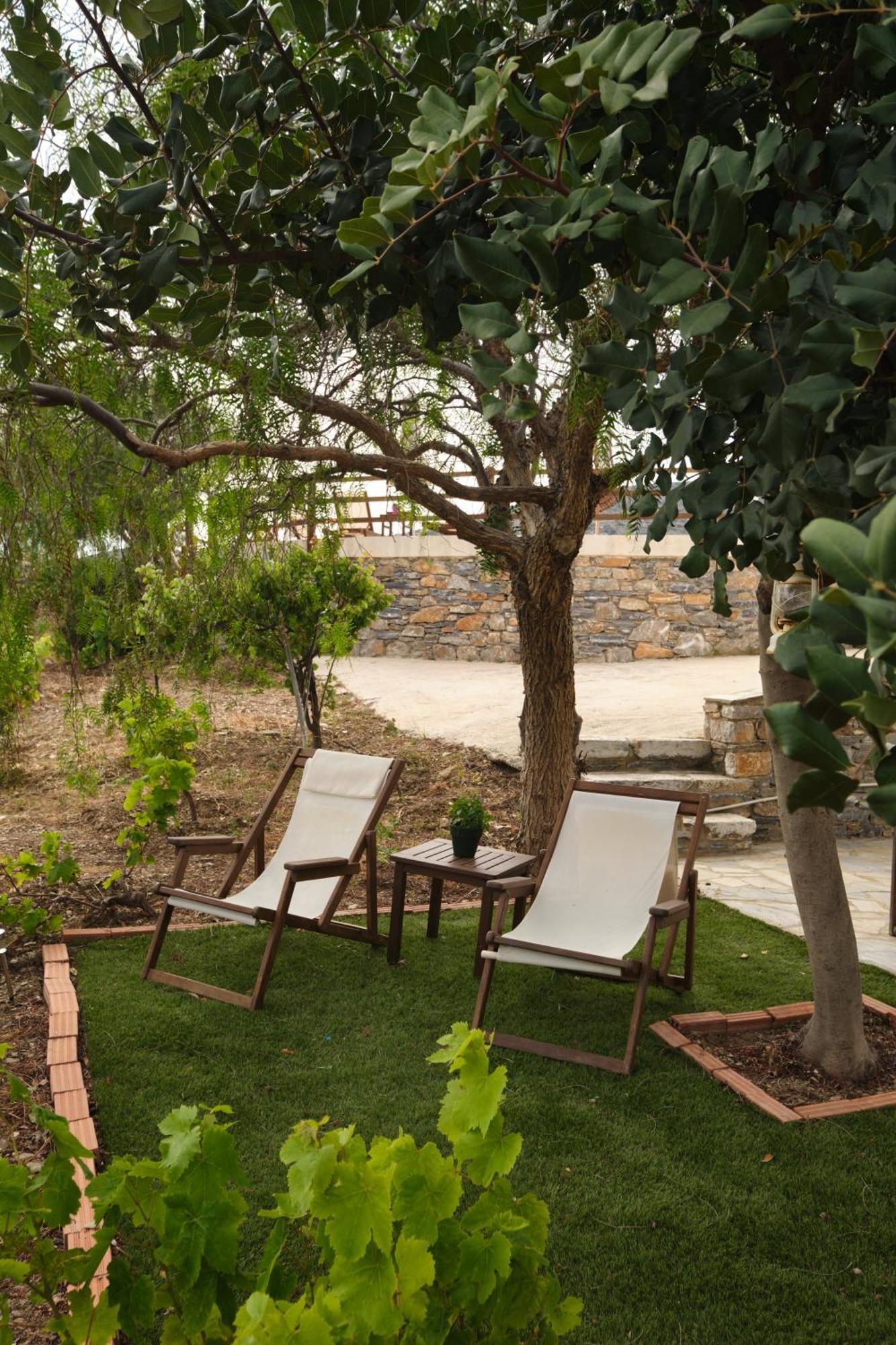 Aparthotel Amorgion Katápola